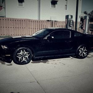 Meet your Posher, Adam